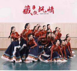Stage Wear Tibétain Danse Performance Adulte Art Examen Pratique Costume Demi-Jupe Grande Balançoire Minorité Ethnique TOP