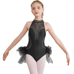 Wear Uple Tulle Feather BodySity For Kids Girl Ballet Dance Tutu Gymnastique Leotard Rhingestone Sheer Mesh Figure Pating à saut