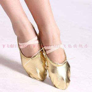 Stage Wear Wholesale Femmes Chaussures de danse du ventre Lady Accessoires Dancer