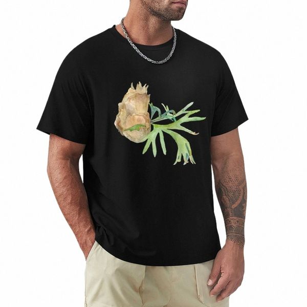 Fougère staghorn.La peinture à l'aquarelle.Illustrations peintes à la main.T-Shirt surdimensionné uni pour hommes, t-shirts graphiques hip hop a2oP #