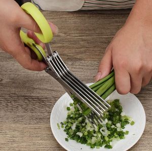 Roestvrij staal koken gereedschap keuken accessoires messen 5 lagen schaar sushi versnipperde schulpen gesneden kruid scissor SN2594