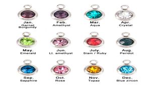 Roestvrijstalen kristal Zodiac geboortesteen charmes Lucky Stones 12 Colors1 Hangers voor Pierre Naissance sieraden Making Gifts9300561