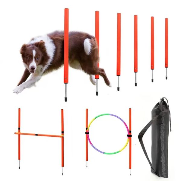 Enjeux Équipement d'agilité pour chiens Équipements de dressage portables pour animaux de compagnie Chiens Outil d'entraînement au saut Chiens en plein air Courir Pieu Piquets de sport Poteaux
