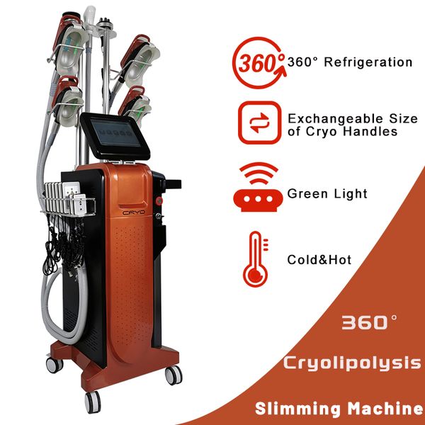 Stand Cryothérapie Cryolipolysis Beauté Machine Minceur Utilisation Élimination des graisses Traitement de congélation Abdomen Façonnage Bras Jambes Cellulite Reuction Perte de poids Système SPA