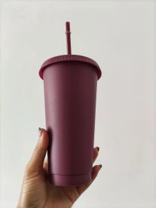 Aangepast logo 24oz/710 ml Plastic Tumbler herbruikbaar Clear Drinking Flat Bottom Cup Pilaarvorm LID Straw Mok Bardian
