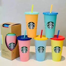 Starbucks Cup 24oz/710ml Plastic Mokken Tumbler Mermaid Goddess Herbruikbare Clear Drinken Platte Bodem Pijler Vorm Deksel Stro Cups mok Goede Kwaliteit Klassieke Stijl Op Voorraad
