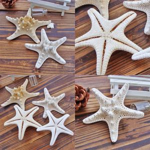 Starfish Ocean Sea Star Natural Tropical Wedding Party Home Wall Hanging Decor Hot Sale 2 6QM UU