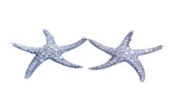 Starfish Style Earring White Gold rempli 5a Clear Diamond CZ Engagement Mariage Boucles d'oreilles pour femmes Festival Gift4781501