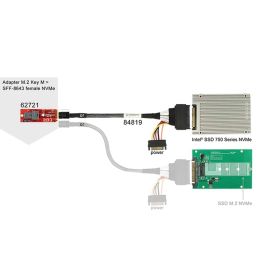 Stations Breetin 12G Mini SAS HD à U.2 / SFF8643 à SFF8639 Câble 0,5 m avec une alimentation SATA 15pin, adaptée à U.2 SSD