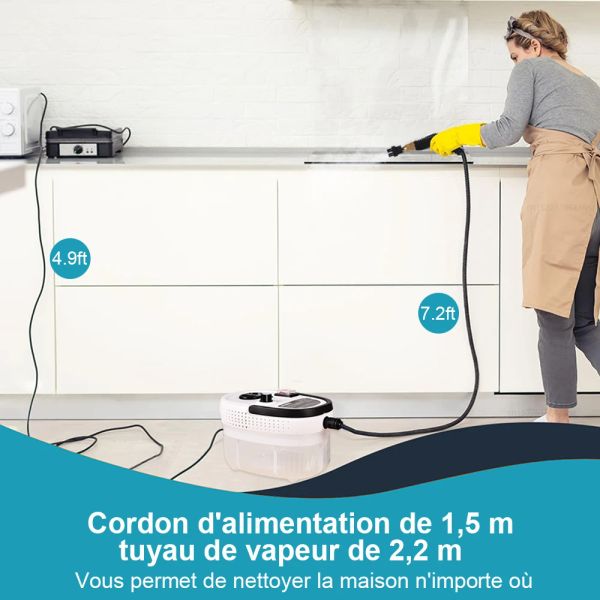 Nettoyer à vapeur 2500W Clain de vapeur haute pression Machine de nettoyage de vapeur à haute température pour la cuisine de la cuisine