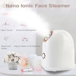 Steamer Nano Sprayer Hidratante facial Invierno Cuidado de la piel Humidificador Ionic Spa Nebulizer 230628