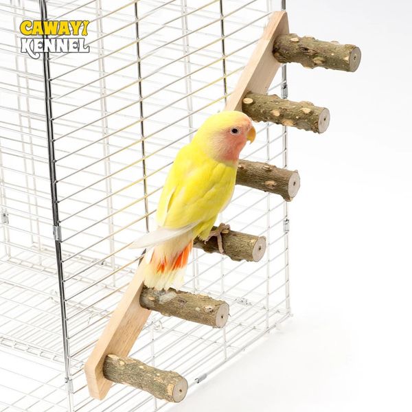 Étapes d'échelle en bois Pet Interactive Bird Parrot jouet pour le hamster Cage Funny Grinding Stick Aliming Accessoires 240515