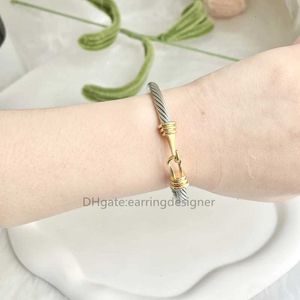 Sterling charme luxe armband ontwerper vrouwen sieraden vrouw gesp in armband zilver met armbanden 14k geel goud verguld