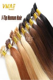 Stick Hair I Tip Kératine Hair Extensions 100gpack 1gstrand Pré-lié noir Blonde 100 brésilien humain raide sexy Form5921238917