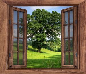 Autocollants Livraison gratuite 3D marron fenêtre en bois mur décalcomanie Art Photo imperméable amovible papier peint forêt murale autocollant vinyle décor à la maison