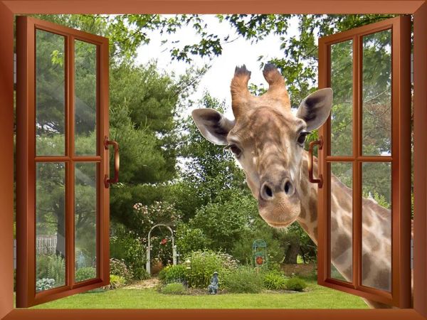 Autocollants effet 3D vue de fenêtre girafe curieuse collant sa tête dans la fenêtre faux autocollants muraux de fenêtres autocollant mural amovible
