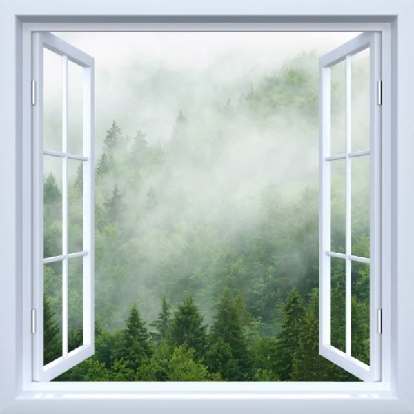 Autocollants 3D blanc chaud fenêtre brouillard forêt fenêtre cadre Mural vinyle chambre papier peint Stickers muraux autocollants noël autocollant Mural