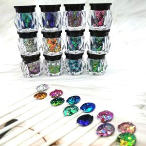 Stickers Decals 13Pcs set Chameleon Chunky Mix Glitter Glitter kameleon nagel sequin flash poeder Kleurverschuiving Glitter Kleur Glitter 230703