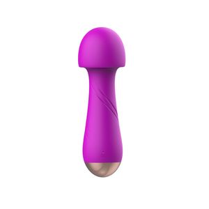 Estimulación Vibrador Súper Vibración placer femenino consolador Recargable vaginal G-spot masturbación femenina palo pareja adultos juguetes sexuales ZD156