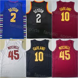 Jersey de baloncesto de Garland Stitched Darius 10 Donovan Mitchell 45 Team Color Blanco Blanco Rojo Away Ciudad ganada Classicada Asociación de icono