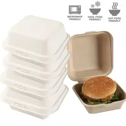 Opbergtassen 10/20 stcs Wegwerp Bento Food Containers Bak Dessert Cake Bowl Verpakking Burger Burger Snackboxen Microwavable Home Lunchbox