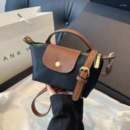 Storage Bags 2024 Luxury Designer Mini Tote Messenger Shoulder Ladies Y2k Square Hand Crossbody Bag Canvas Side Cross Body Purse