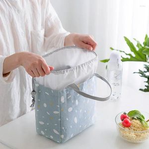 Sac de rangement Sac de nourriture Isolate Cold Picnic Carry Boîte thermique Boîte à lunch Thermal Travel Container Contauteur Tote U3