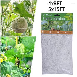 Opbergzakken Tuin Plant Trellis Netting Zware Mesh Wijnstok Klimnet Voor Groente Boomgaard Bloem Komkommer 4x8FT 5x15FT