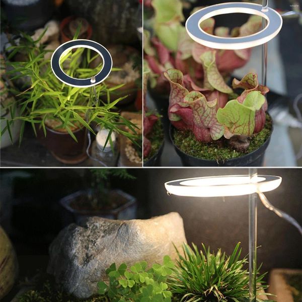 Sacs de rangement LED poussent la lumière entente en plein spectre Phyto lampe USB Angel pour les plantes succulentes Croissance des plantes de fleurs (soleil)