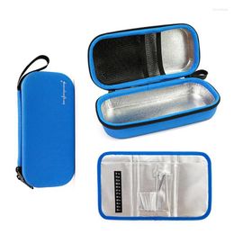 Sacs de rangement portables Eva Color Sac Ice Pack de voyage diabétique Boîtier de voyage en aluminium Bolsa termica