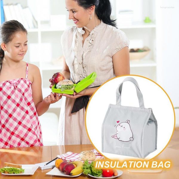 Bolsas de almacenamiento, bolsa de almuerzo portátil, aislamiento térmico, portador de alimentos para Picnic, soporte para bebidas de frutas para Camping, escuela, accesorios al aire libre