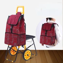 Sacs de rangement CATTS PORTABLES AVEC LA SAGLE PLIBLE PLIBLE BAGLE BAGLE CART Big 21cm Roues pour le camping Martket Achat