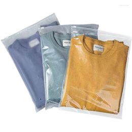 Sacs de rangement à fermeture éclair, vêtements transparents CPE, sac d'emballage de voyage en plastique auto-scellant