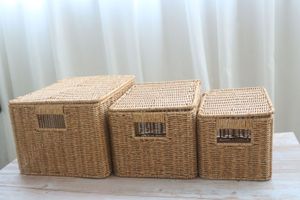 Opslagmanden Handgeweven opslagmand Rattan opbergvak pp rattan mand brood fruit fruit ontbijt lichtbruin met deksel opslagmand 230310