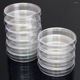 Bouteilles de stockage 10 pièces fournitures de laboratoire Transparent 90x15mm avec couvercles 55x15mm boîtes de Pétri plat de Culture de bactéries stérile