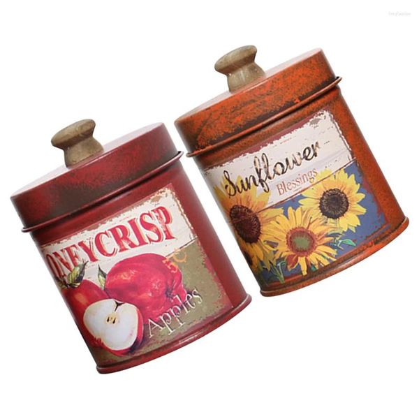 Bouteilles de rangement 2 pcs vintage avec couvercle de couvercle pots intérieurs pour les plantes en métal de fleur de fer can