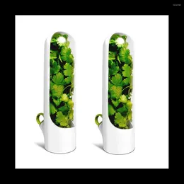 Bouteilles de rangement 2pcs boîtier de glaçage frais de type contenant de nourriture pour récipient de nourriture pour préservation des légumes pour la coriandre à l'aneth