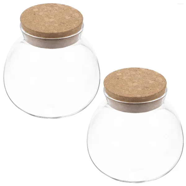 Bouteilles de rangement 2pcs Jar en verre sphérique avec couvercle de liège.