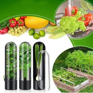 Botellas de almacenamiento antipresión protección del medio ambiente dispositivo de mantenimiento fresco creativo a prueba de polvo caja de verduras de vainilla transfronteriza