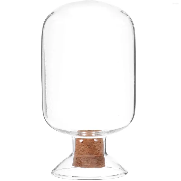 Bouteilles de rangement, conteneur de bouteille de cheminée, pot en verre Durable, tête ronde, Mini support d'allumettes