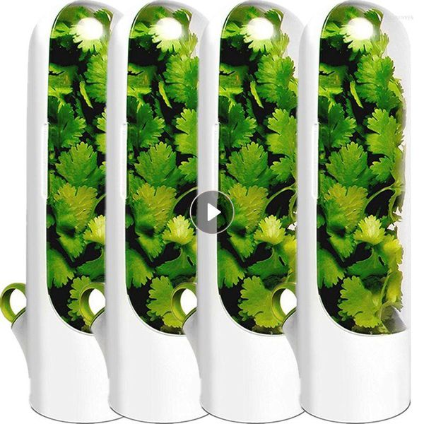 Bouteilles de stockage économiseur conteneur Premium conserve les légumes verts frais conservateur clair épices réfrigérateur conservateur