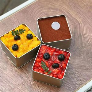 Opslagflessen vierkante rechthoekige zilveren ijzeren doos draagbare picknickpot mousse cake food frosted sieraden lippenstift sleutelcontainer