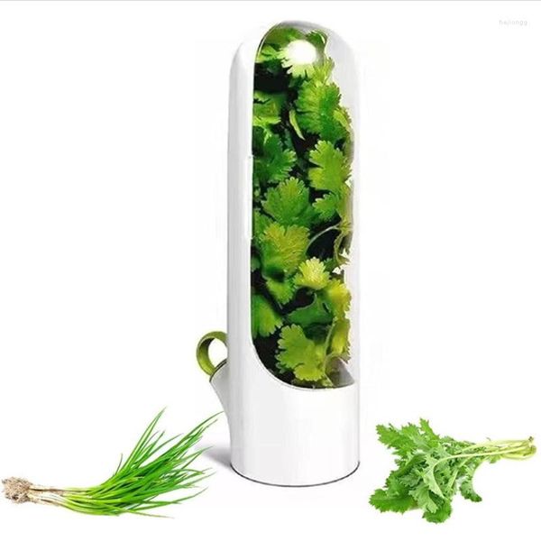 Botellas de almacenamiento para verduras, herramientas Xun, dispositivo de venta, brote de bambú, guardián de la creatividad, taza de frescura para conservación de vainilla, cocina