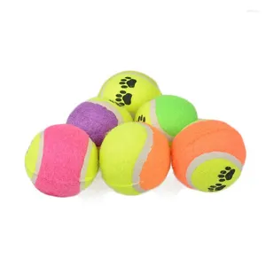 Opslagflessen Wonderlife Pet Tennis Toys Training Puppy Plush Toyspet Toy Balldog Trainpet Footprint Ball ToyDog SuppliesDog Accessoires