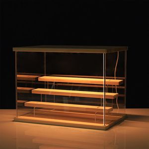 Boîtes de Rangement Poubelles 3 Niveaux Riser Présentoir Case Lumière LED Transparent Acrylique Vitrine avec étagères en Bois Boîte de Rangement Figure Riser Parfum Affichage 230803