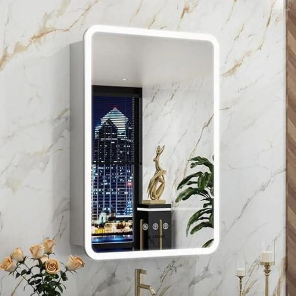 Boîtes de rangement Armoire éclairée avec dégraisseur rétro-éclairé RVB et fonction de mémoire 20x32 pouces LED Miroir de miroir USB