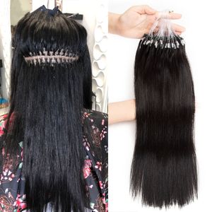 Extensions de cheveux 100% naturels Remy lisses avec anneau en Micro boucle, 12 à 26 pouces, pour femmes noires, 100g