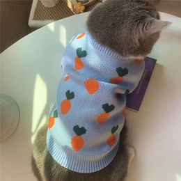 Rechte melk kat hond trendy merk sky blauwe trui teddy bomei fadou herfst/winter huisdier warme kleding