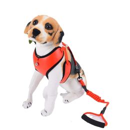 Ceinture droite en chaîne PU pour chien, sangle de poitrine et arrière pour animaux de compagnie, nouvelle corde de Traction de protection