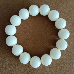 Bracelet boule de noix ivoire, brin 1.5, cercle unique, fourniture de diffusion en direct, vente en gros